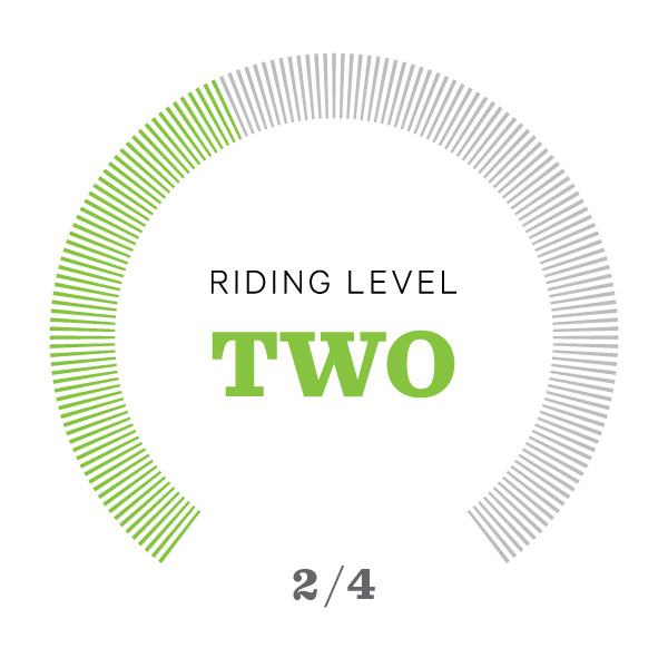 Riding Level Icons_v2-02