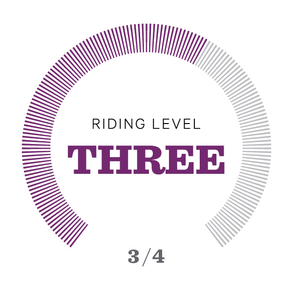 Riding Level Icons_v2-03