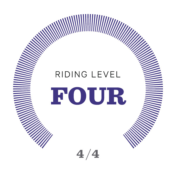 Riding Level Icons_v2-04