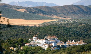 Andalucia Thumb