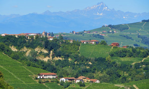 Piedmont Thumb