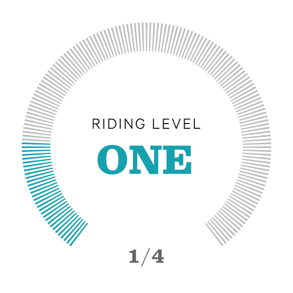 Riding Level Icons_v2-01