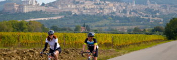 Growth of Bicycle Tourism – 1996