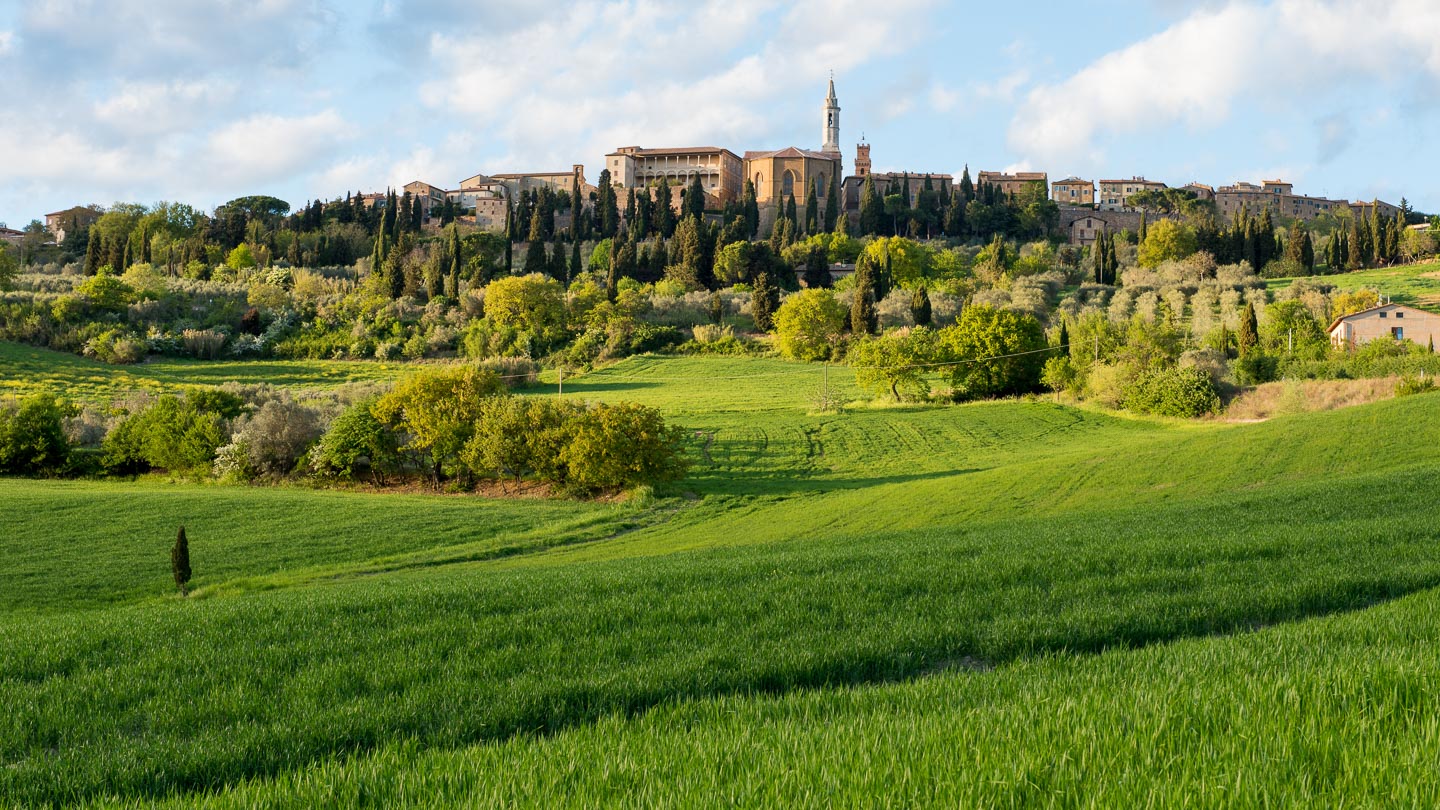 duvine tours