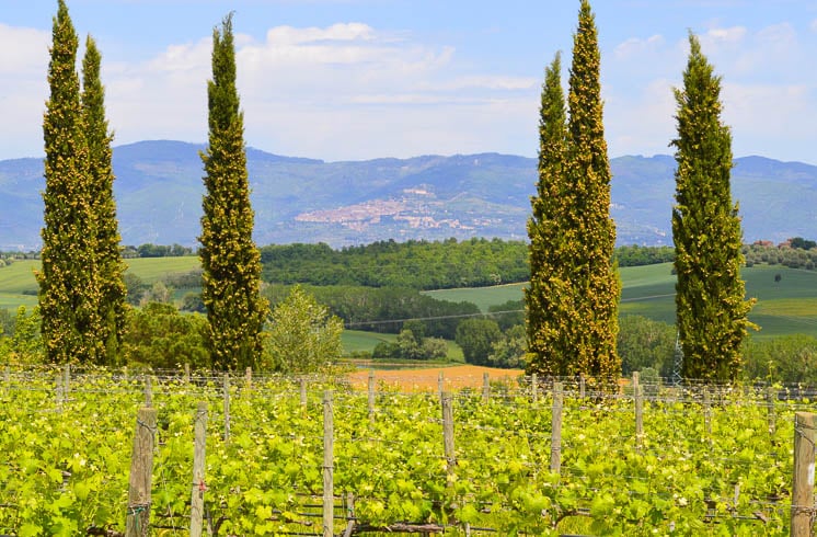 Tuscany Bike Country Inn Tours Tuscany Bike Country Inn Tours