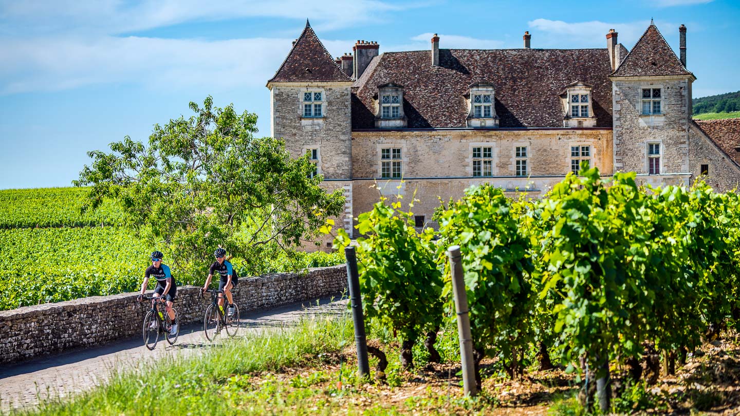 Two cyclists on a vineyard road at Clos de Vougeot in Burgundy