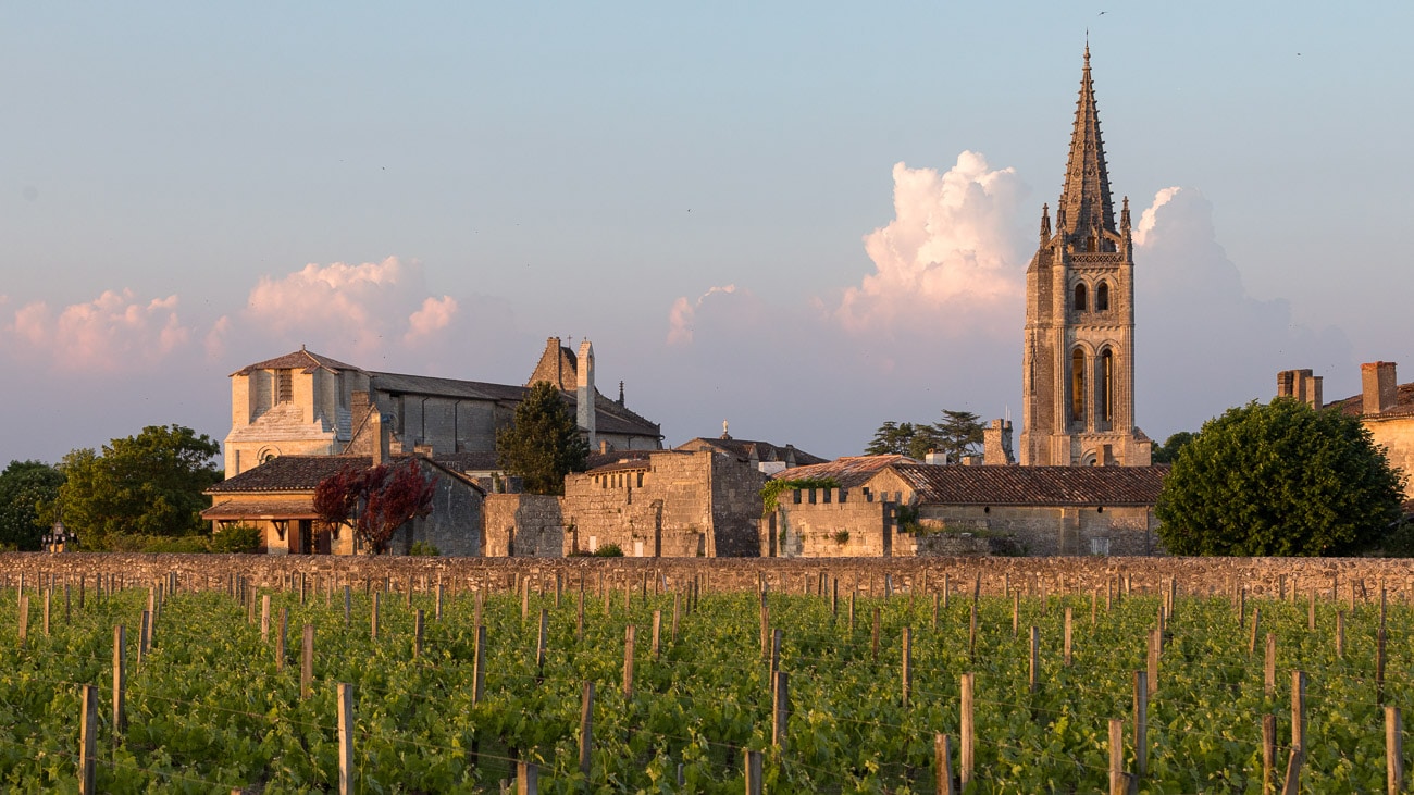Sunset landscape over vineyards at winery in Bordeaux