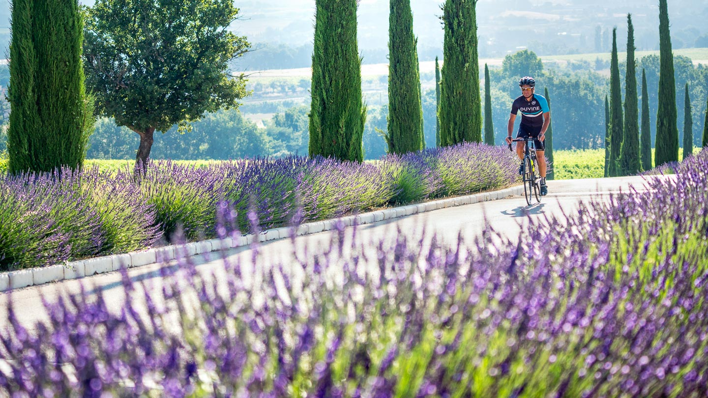 DuVine Cycling + Adventure Co. Luxury Bike Tours and Cycling Vacations