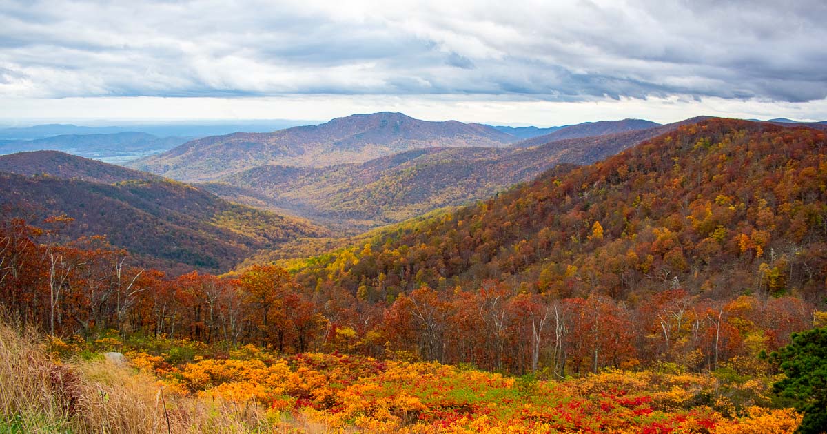 Bike in Shenandoah Valley, Virginia | Blue Ridge Mountains Travel | DuVine